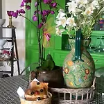 Silvio Bed & Breakfast