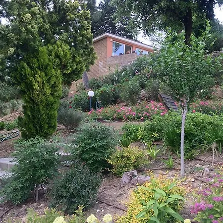 Silvio Civitanova Alta