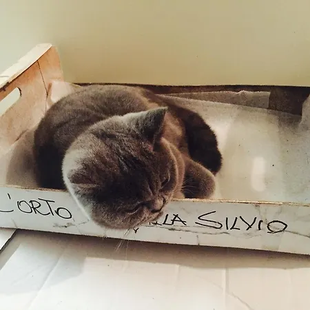 Silvio Relais 4*