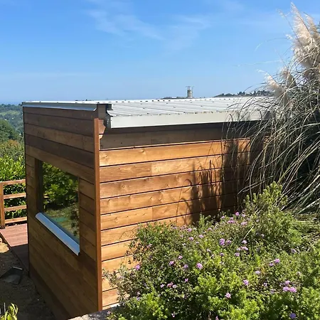 Silvio Civitanova Alta