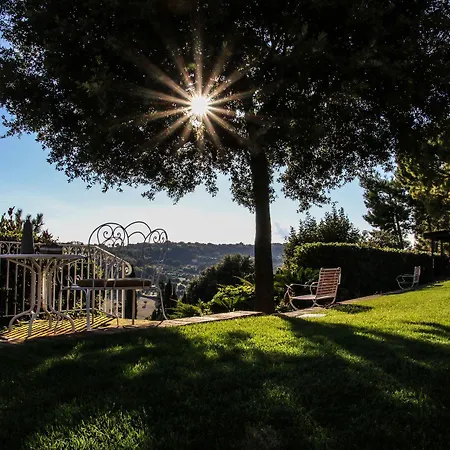 Silvio Civitanova Alta