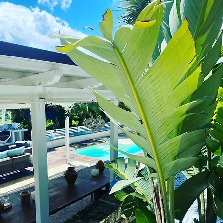 ベッド・アンド・ブレックファスト Silvio