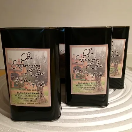 Silvio Civitanova Alta