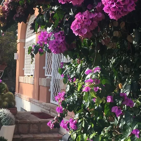 Bed & Breakfast Silvio 4*