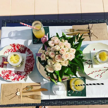 Silvio Civitanova Alta