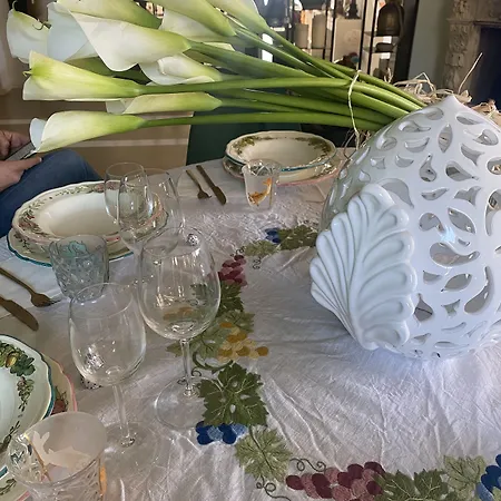 Silvio Panzió Civitanova Alta