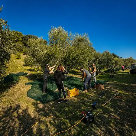 Silvio Relais Casa de hóspedes Civitanova Alta