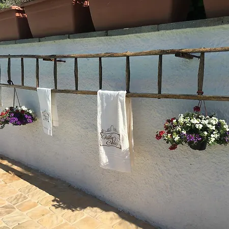 Bed & Breakfast Silvio 4*