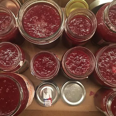 Silvio Civitanova Alta